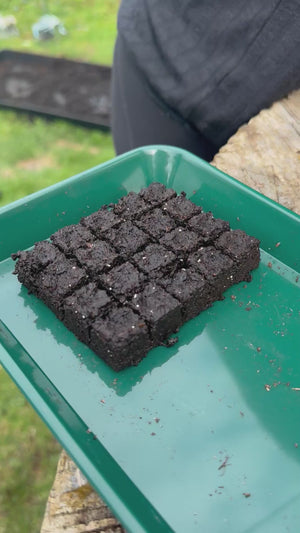 The Micro Seed Tray